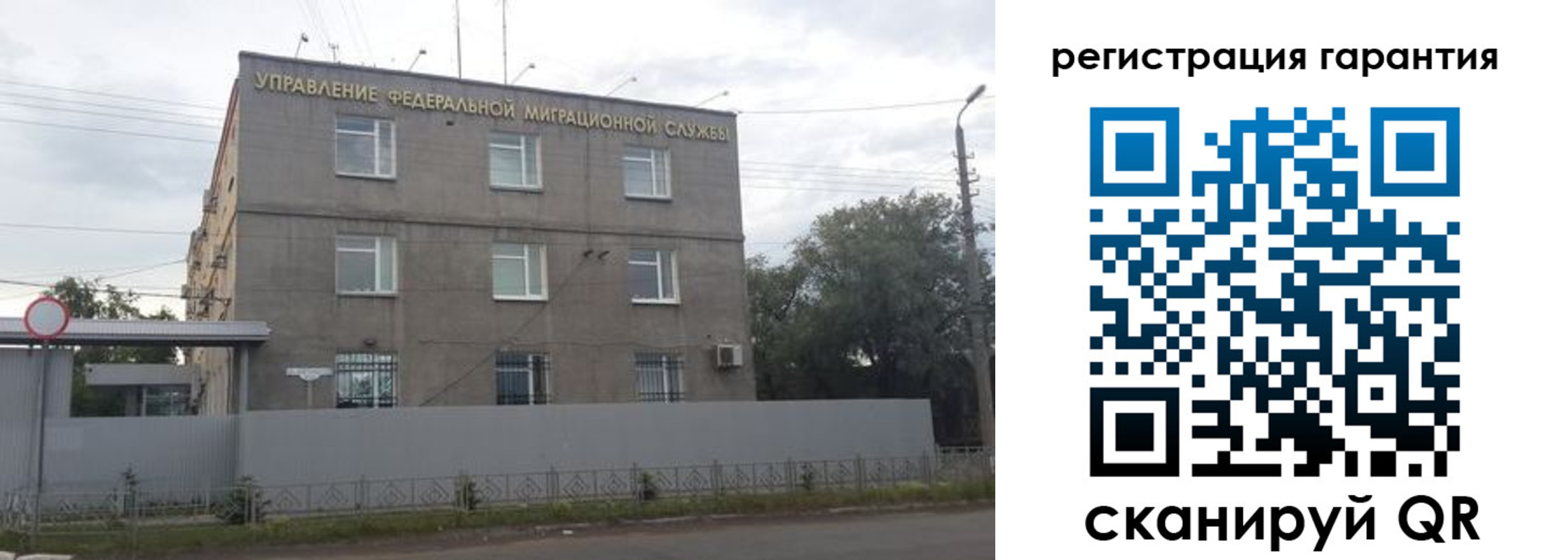 прописка гарантия в Камышине