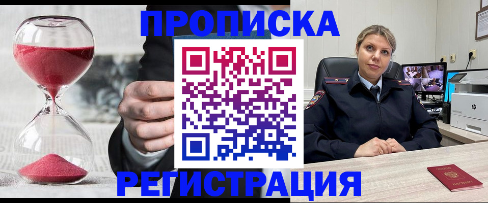 прописка поиск в Камышине